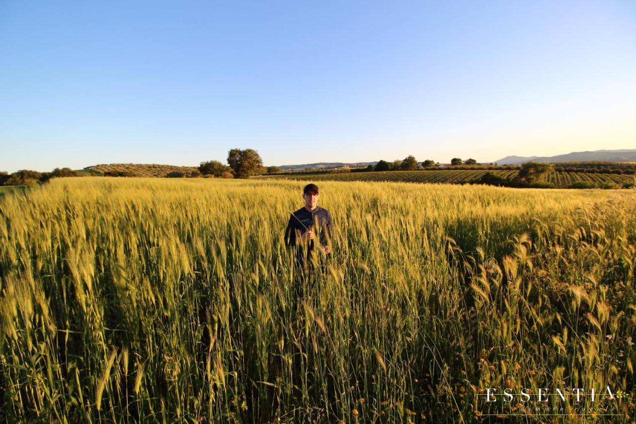 Agriturismo Essentia Dimora Rurale Larino Buitenkant foto
