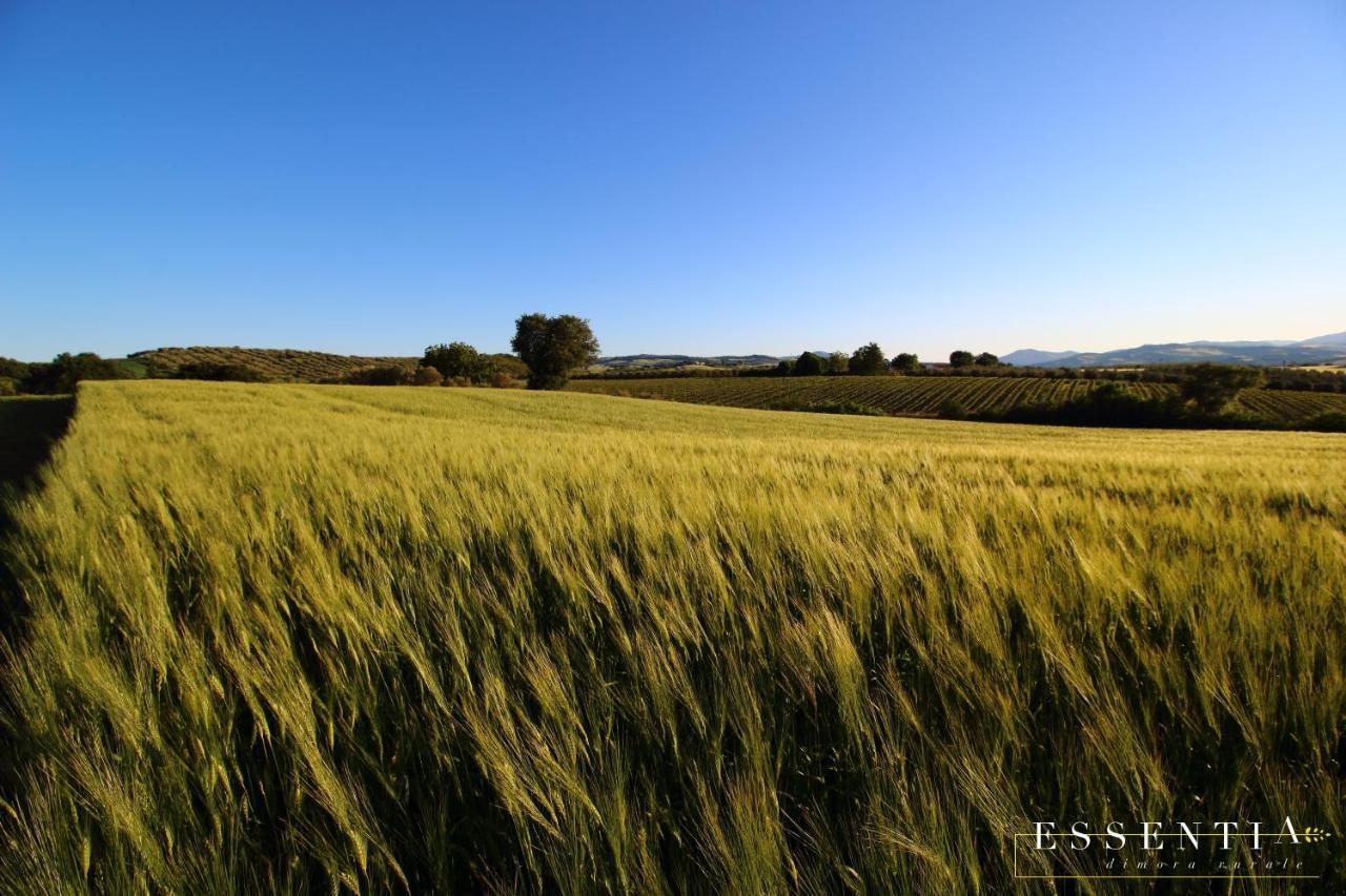 Agriturismo Essentia Dimora Rurale Larino Buitenkant foto