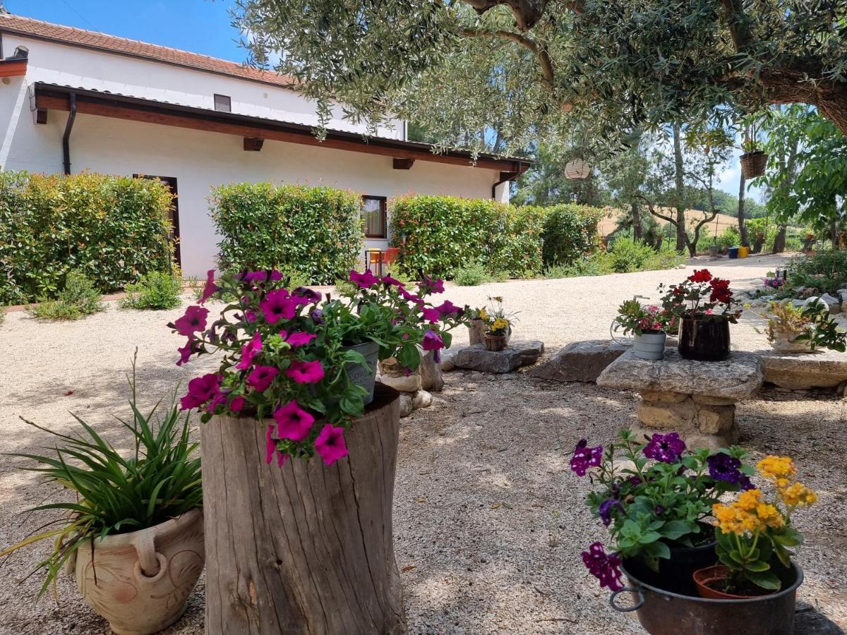 Agriturismo Essentia Dimora Rurale Larino Buitenkant foto