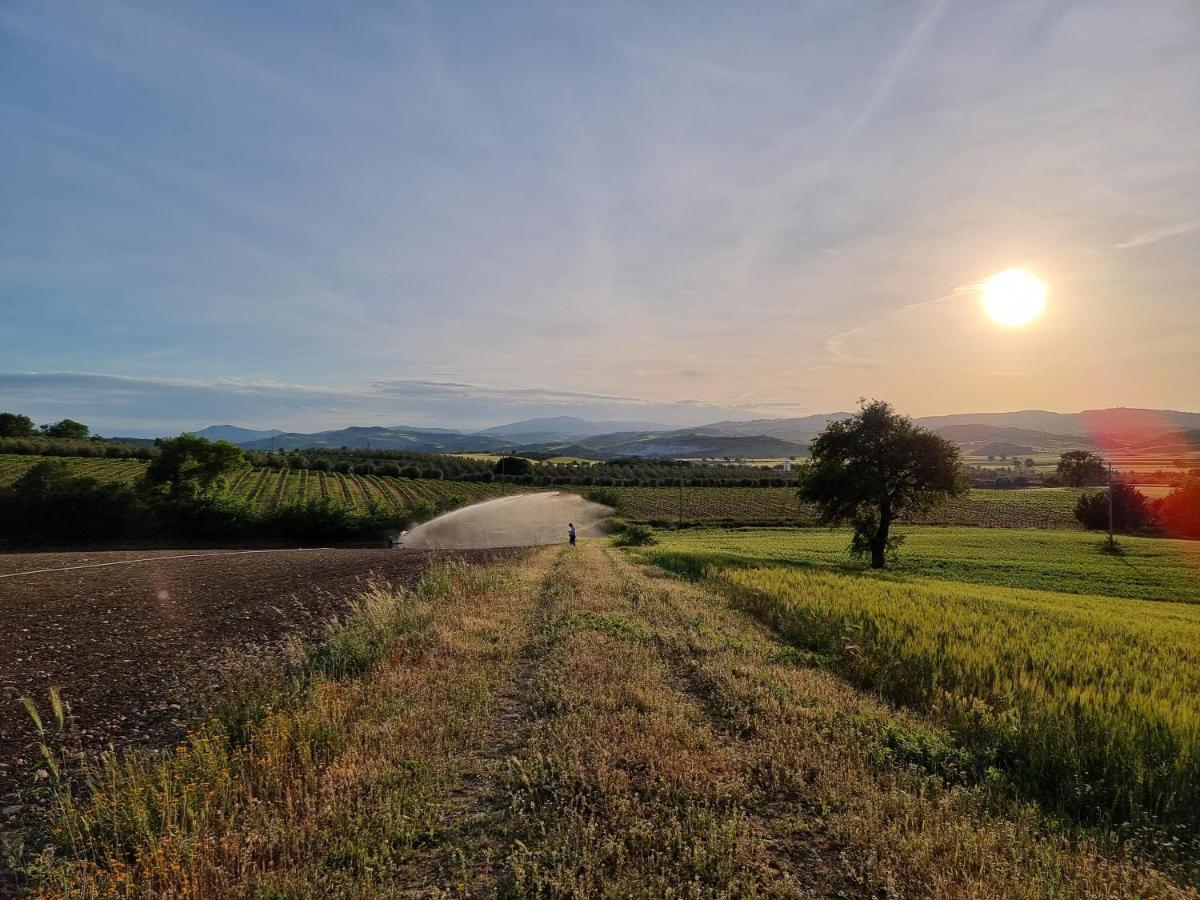 Agriturismo Essentia Dimora Rurale Larino Buitenkant foto