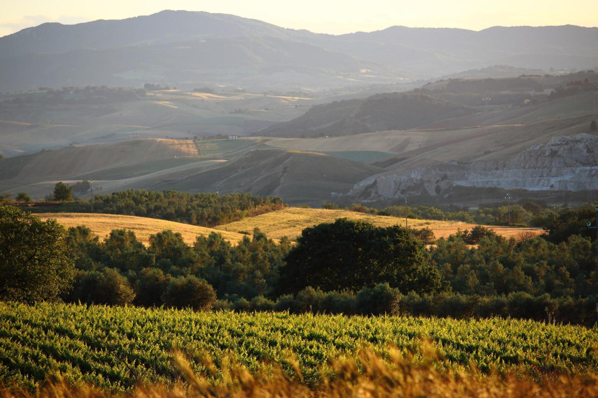 Agriturismo Essentia Dimora Rurale Larino Buitenkant foto