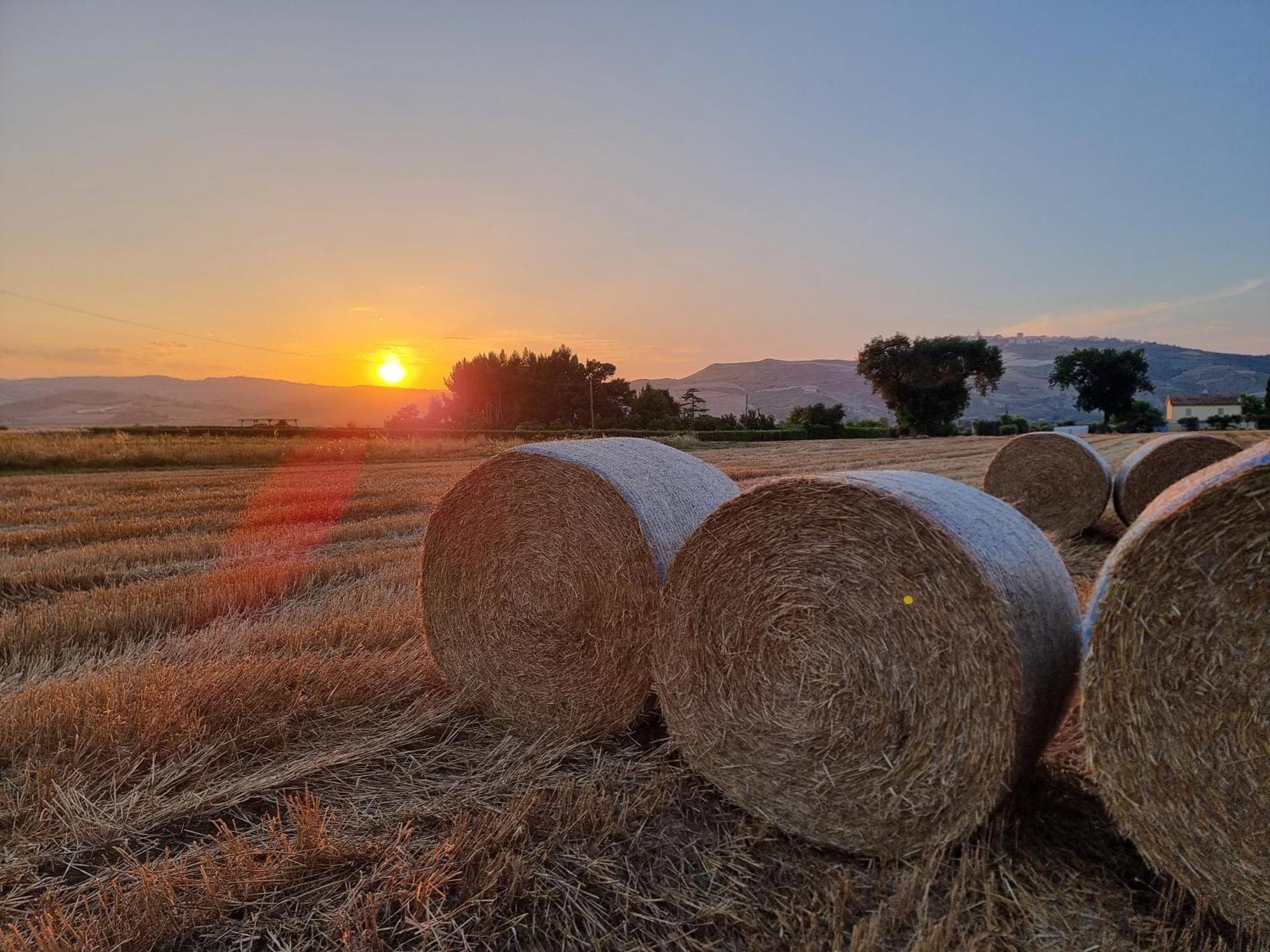 Agriturismo Essentia Dimora Rurale Larino Buitenkant foto