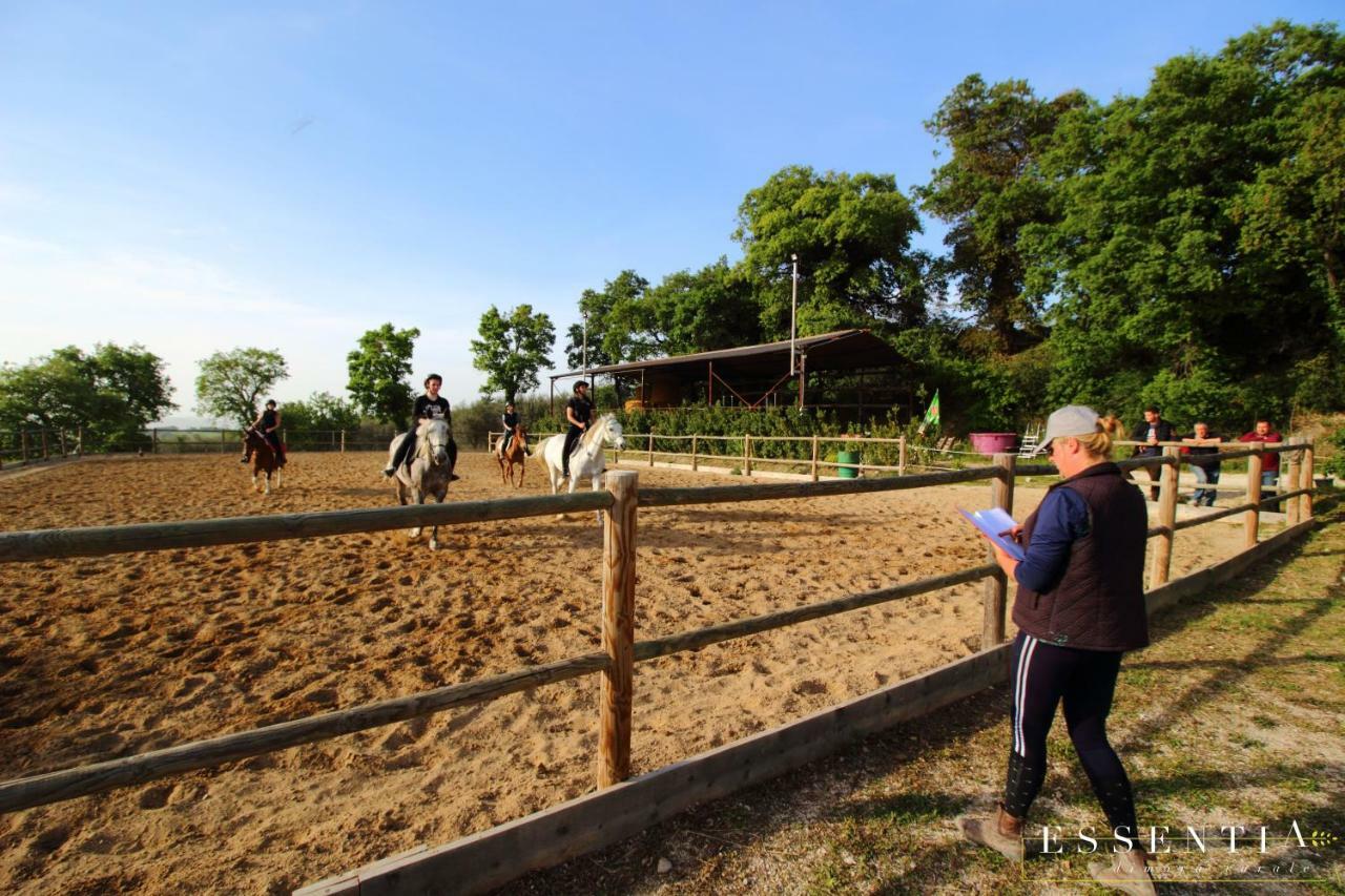 Agriturismo Essentia Dimora Rurale Larino Buitenkant foto