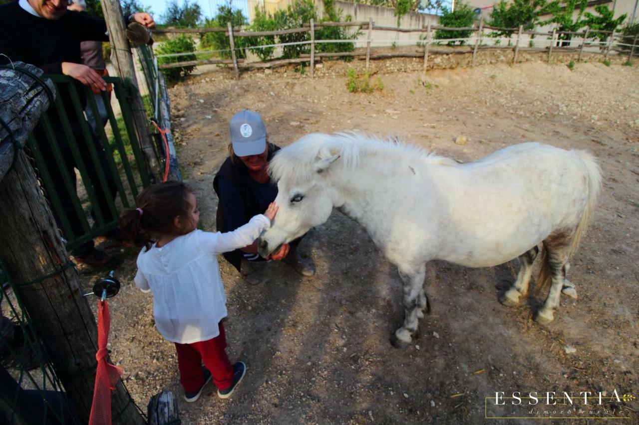 Agriturismo Essentia Dimora Rurale Larino Buitenkant foto